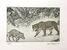 Grafický list, Ivan Kováčik, Mimikry, 52 €, 10x12 cm