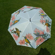 Ručne maľovaný dáždnik, vtáci, predané