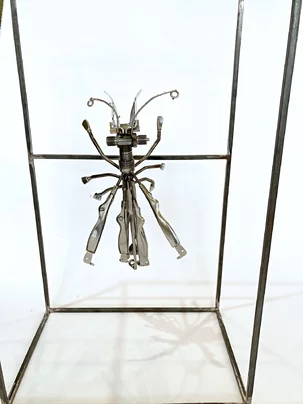 Branislav Reis, Mucha - Chrobák v ráme, 82x50x32 cm