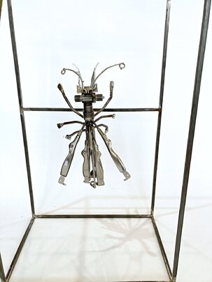 Branislav Reis, Mucha - Chrobák v ráme, 82x50x32 cm