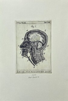 Grafický list, Ivan Kováčik, Mozog, 58 €, rozmer tlače 16x10 cm, nezarámované