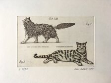 Grafika, Ivan Kováčik, Mačky. Keď kocúr ..., 10x15 cm, zarámované 20x23 cm, 60 €