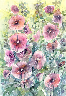 Jane Beata, Ibišteky, Akvarel 36x25 cm