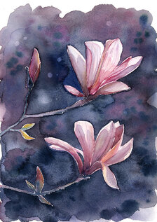 Jane Beata, Magnólia, Akvarel 36x26 cm