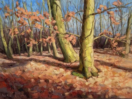 Michal Mach, Duby po zime, Olejomaľba na plátne, 60x80 cm, zarámované 63x83 cm