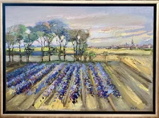 Mykola Bodnár, Levanduľové pole, olej 50x70 cm