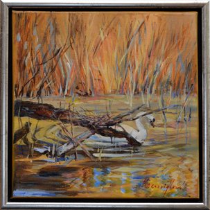Olejomaľba, Ester Ksenzsigh, Schovaná labuť, 30x30 cm 2 cm rám, 130 €
