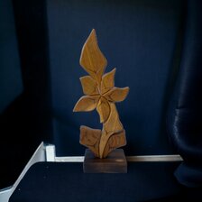 Róbert Cyprich, Púpava, dub, výška 63 cm, 364 €