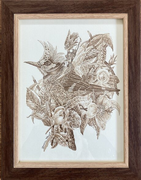 Roman Pocisk, Lesanka Zoya a vták Pluma, Kresba, 25x20 cm, zarámované 30,5x25,5 cm, 145 €