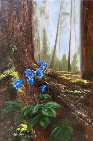 Tatiana Morozová, Prvé kvety - modré, olejomaľba 60x40 cm, 182 €