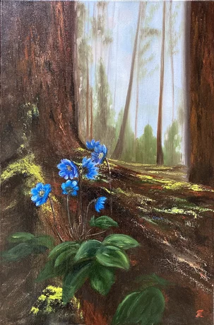 Tatiana Morozová, Prvé kvety - modré, olejomaľba 60x40 cm